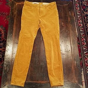 GUC Pilcro and Letterpress Skinny Pants 28
